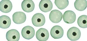Perle drvo, polirana, 10mm o sv zelena,52 kom