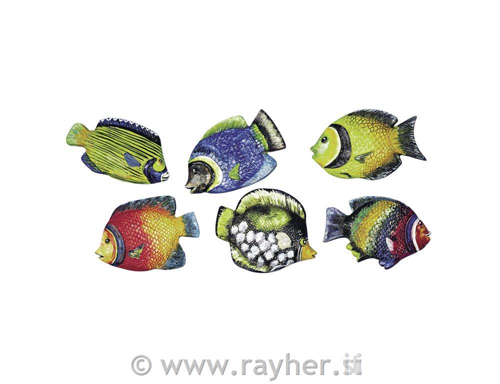 Kalup: Riba, 9 cm, 6 motiva