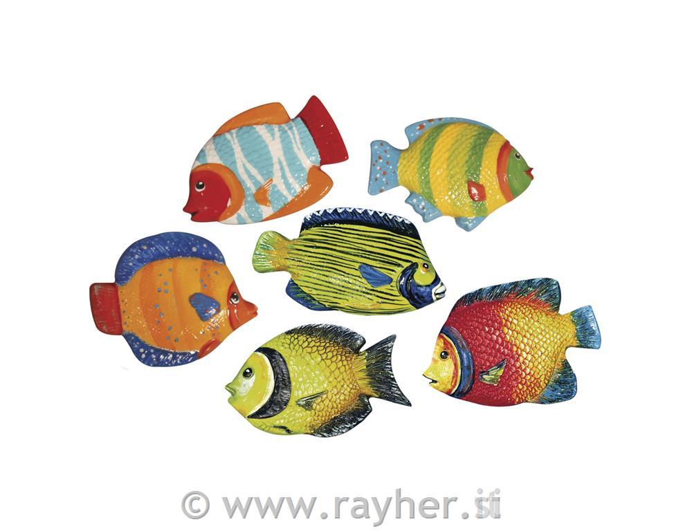 Kalup: Riba, 9 cm, 6 motiva