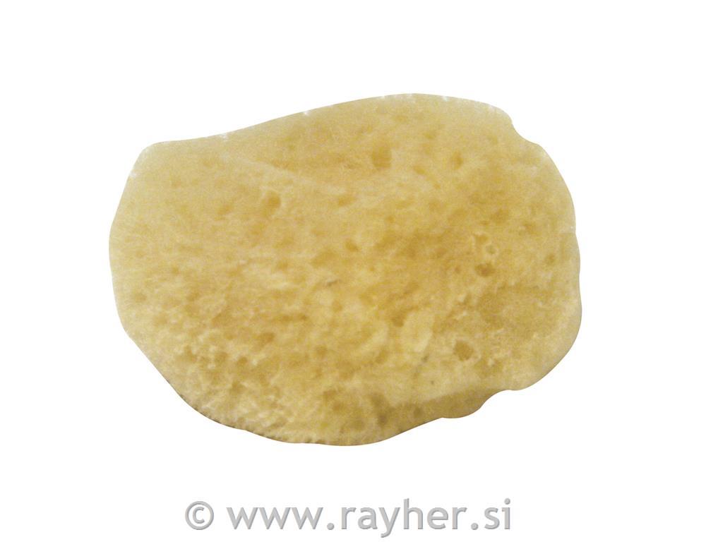 Spužva, 3,5-5 cm, 5 kom