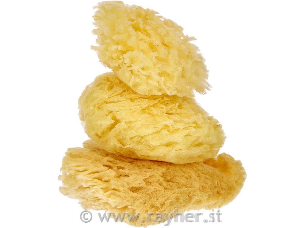 Spužva, 6-7,5 cm, 3 kom