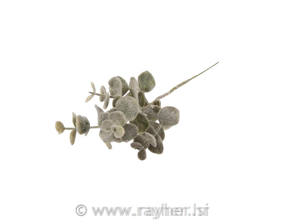 Frosted book-twig, 20cm