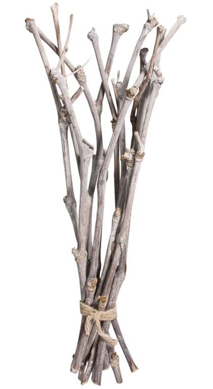 Dekorativne palice trta, 40cm, 12 kosov