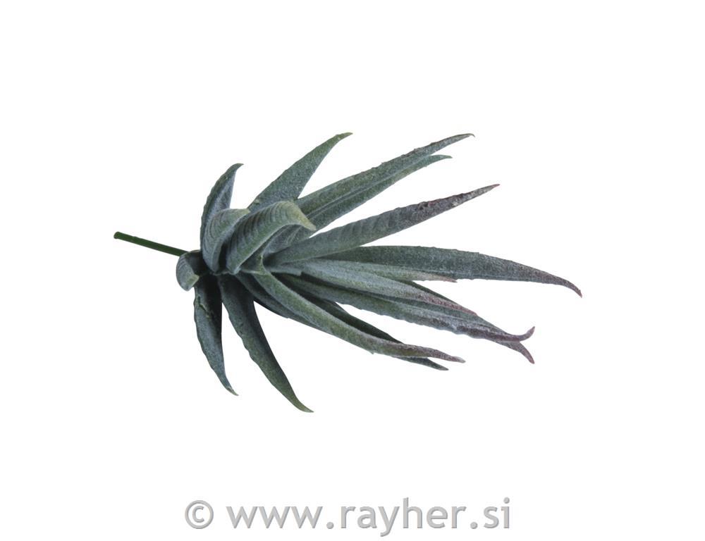 Biljka "Aloe", 6x6x13cm, umjetna