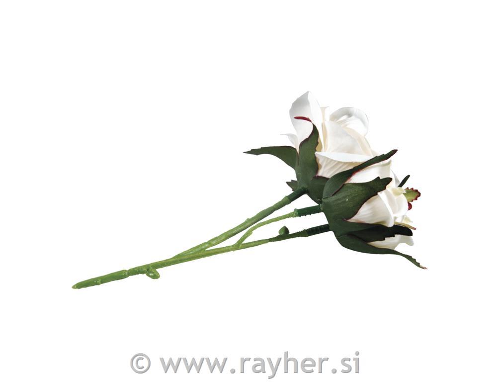 Ruža, bijela, 15cm, tri cvijeta