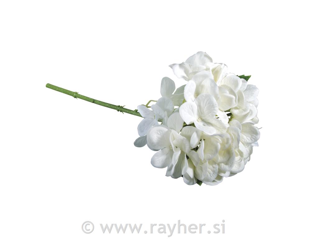 Hortenzija, bijela, 33cm