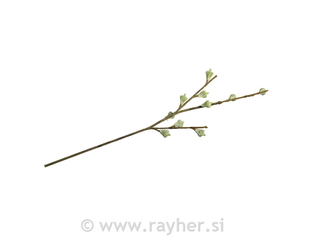 Vejica Eukaliptus fruit, 40cm