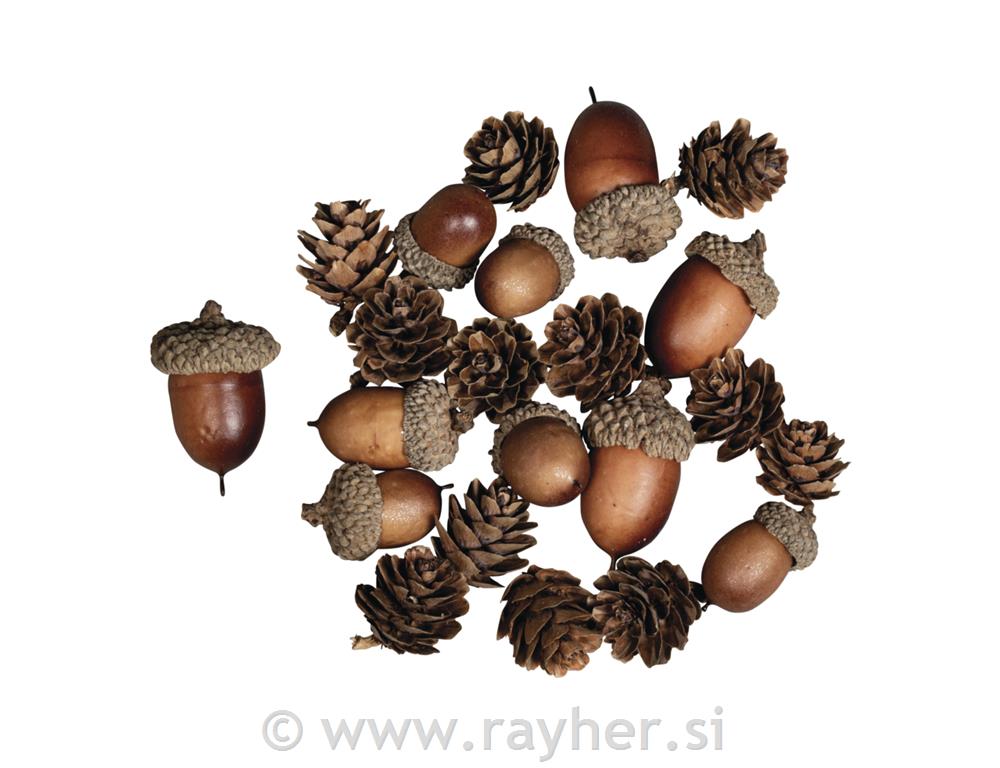 Natur mix, z želodom 2-4cm, 27 kosov