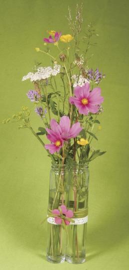 Staklena vaza, 3cm o, visina 16.5 cm