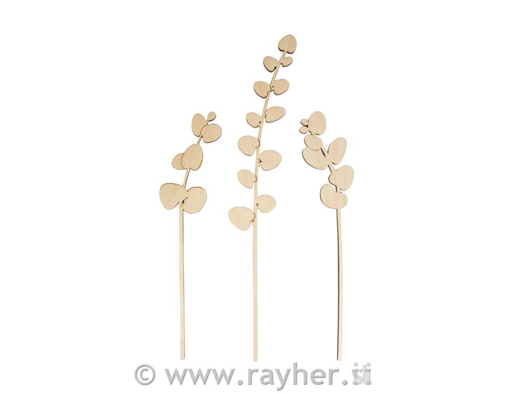 Drveni ukras, Eukaliptus, 22+33cm, set 3