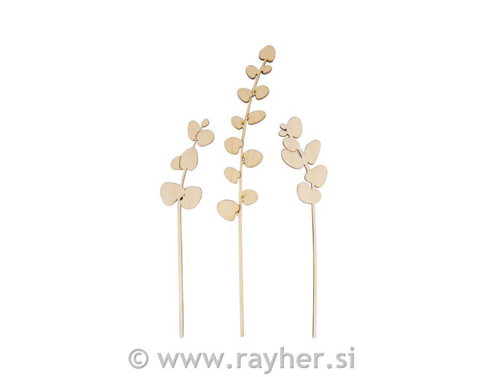 Drveni ukras, Eukaliptus, 15+20cm, set 3