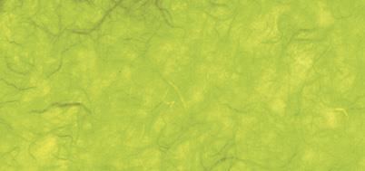 Mulberry paper on a roll, apple green, 1