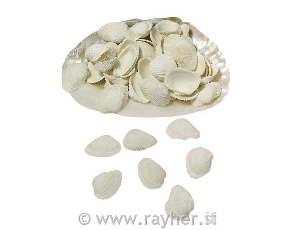 Shells, pearly
