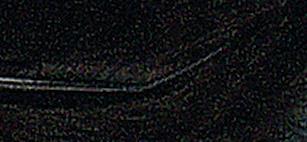 Perje ukrasno, crno, 8 cm, 10 kom