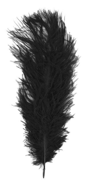 Perje od noja, crno, 30 cm, 1 kom