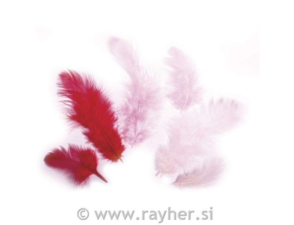 Perje, rdeče barve, 3-10 cm, 10 g