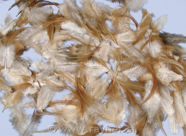 Feather mixture, Brunett, 6-15 cm, tab-b