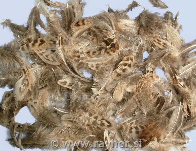 Feather mixture, Petit-Point, 4-6 cm, ta