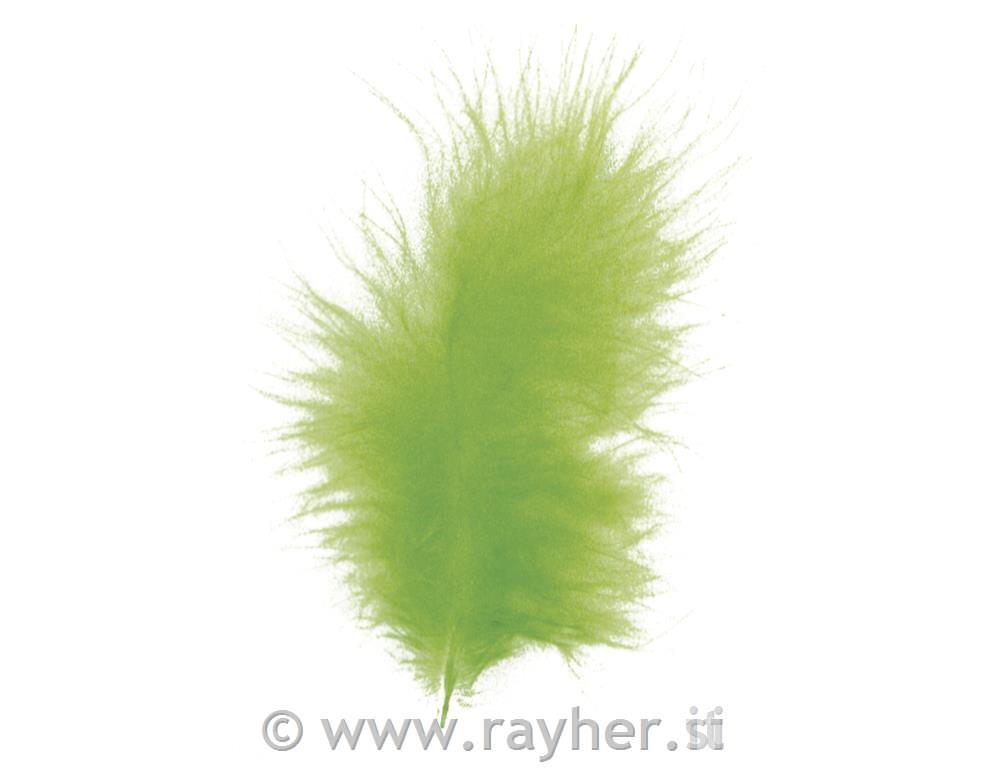 Perje paperjasto, svijetlo zeleno, 10-15cm, 15 kom