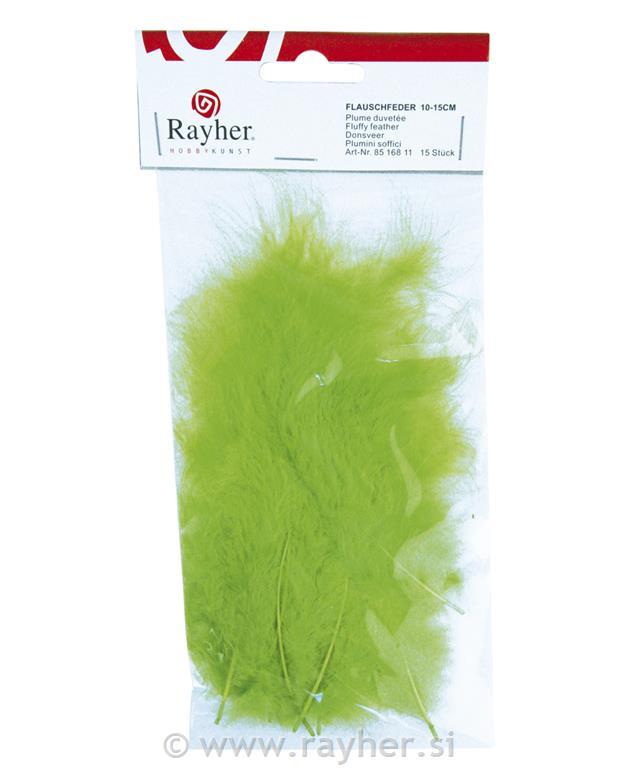 Perje paperjasto, svijetlo zeleno, 10-15cm, 15 kom