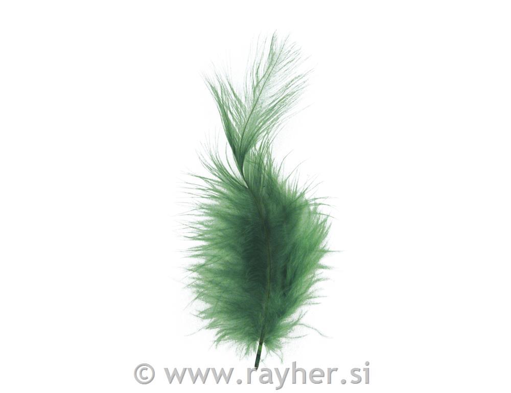 Perje paperjasto, tamno zeleno, 10-15 cm, 15 kom