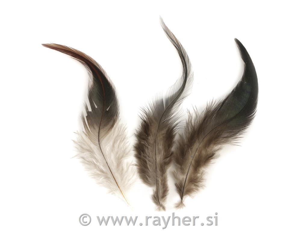 Perje od pijetla, tamno smeđa, 10-15 cm,3g