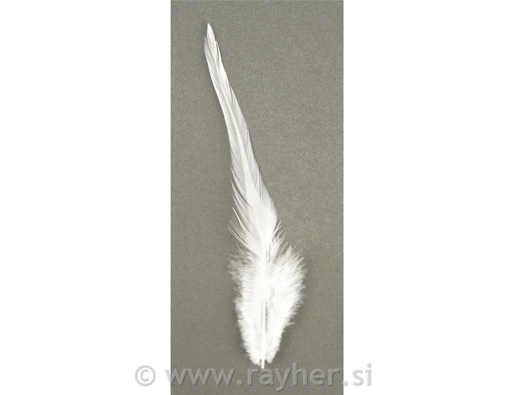Perje Trendy, bijelo, 10-15 cm, 2 g