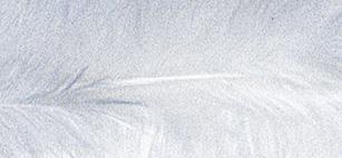 Perje Trendy, bijelo, 10-15 cm, 2 g