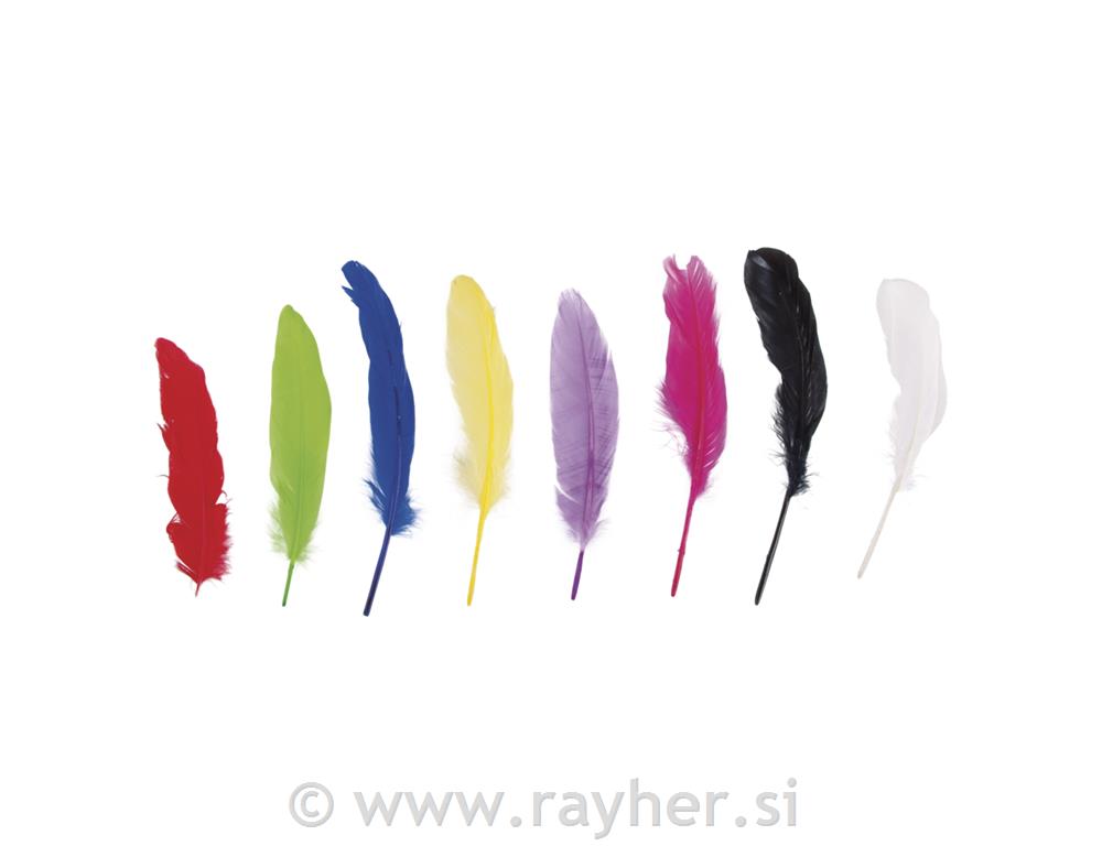 Perje od guske, raznobojne, 16-20cm, 8kom
