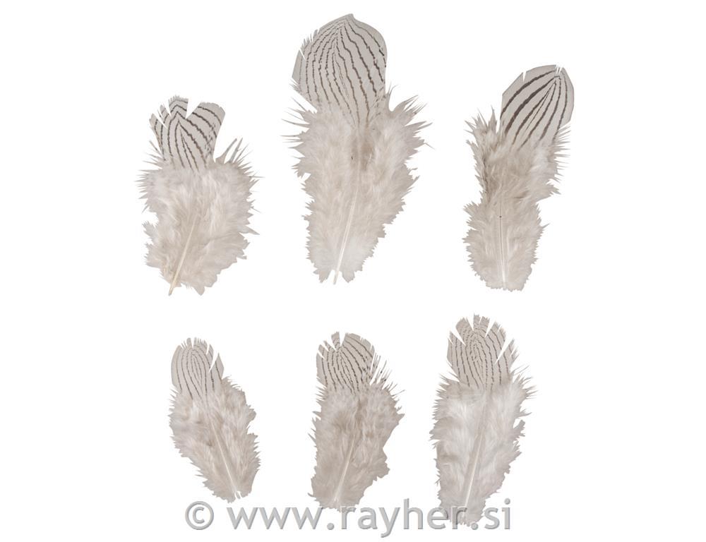 Perje dekorativno, potisk zebra, 8-12cm, 6 kosov