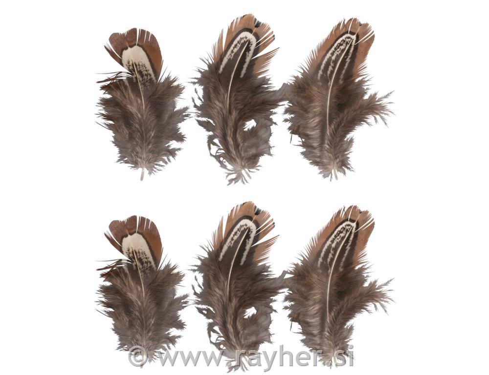 Feathers, brown, 5-10cm, tab-bag 6pcs