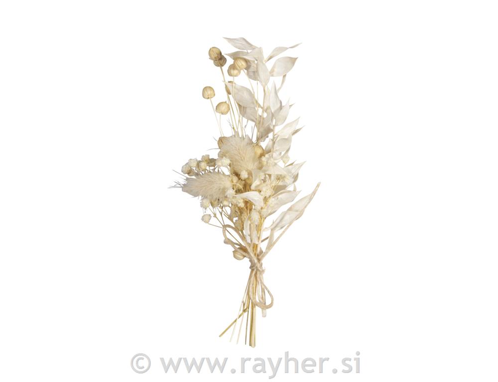 Šopek suhega cvetja, 18-20 cm, ivory