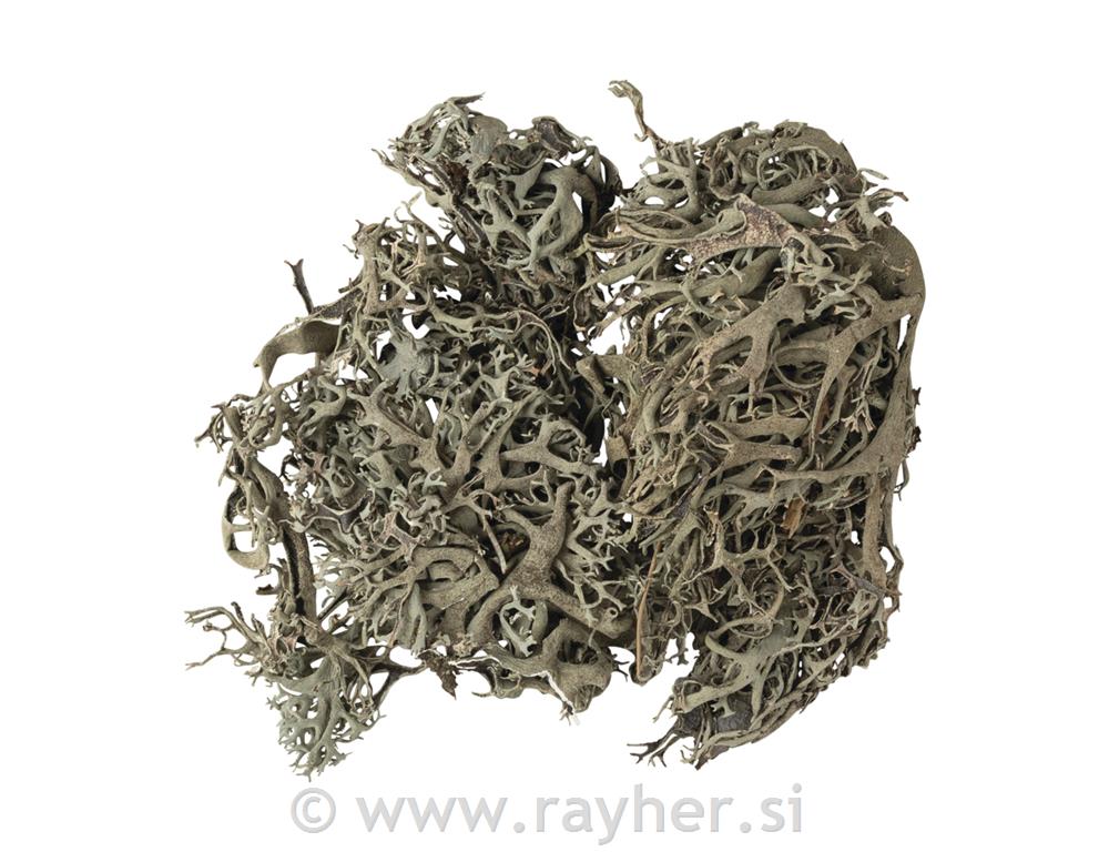 Mahovina 20 g
