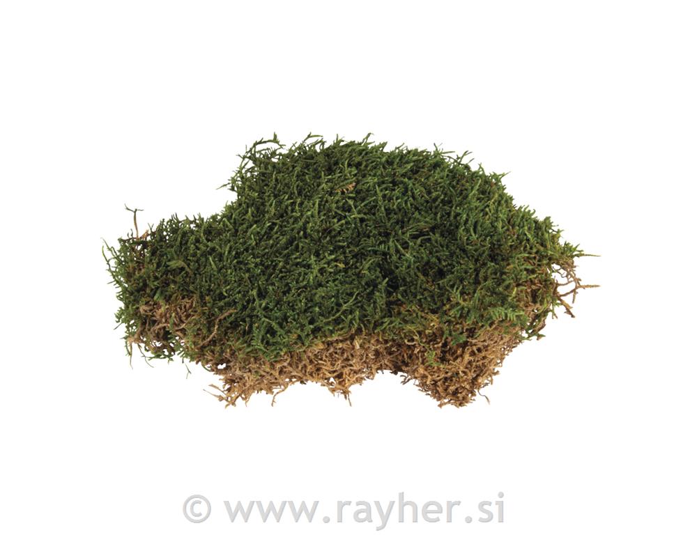 Mahovina, pročišćena, 30g