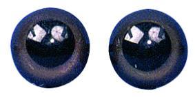 Plastične oči, tamno smeđe, 12 mm o, 10kom