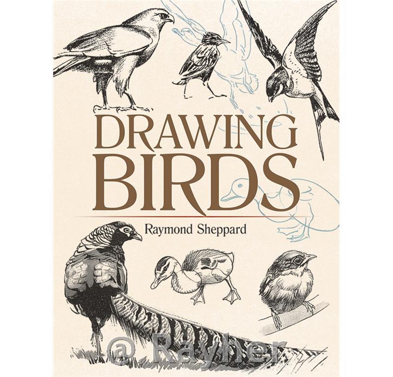 Knjiga Drawing Birds