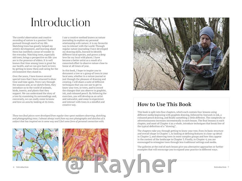 Knjiga How to Draw a Tree: From the Fruit to the Forest