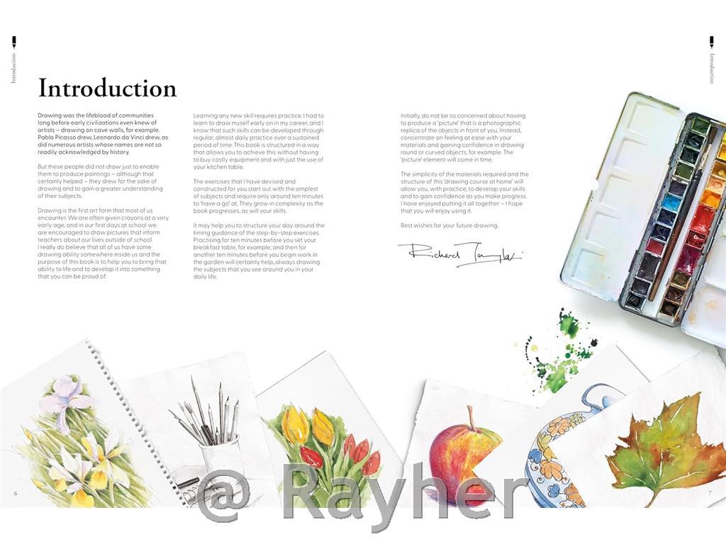 Knjiga Learn to Draw in an Hour a Day