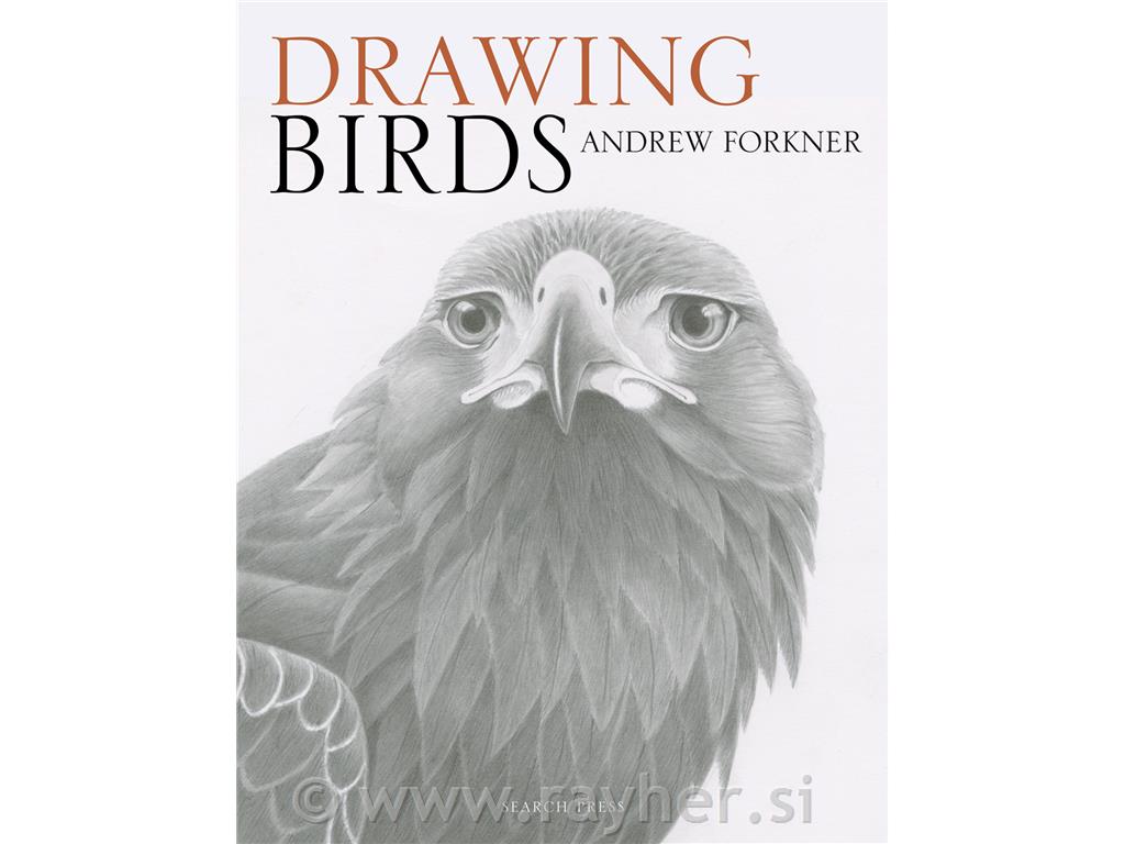 KNJIGA DRAWING BIRDS
