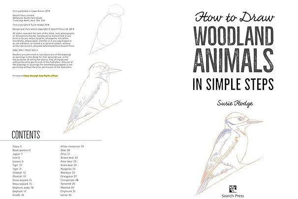 Knjiga How to Draw: Woodland Animals