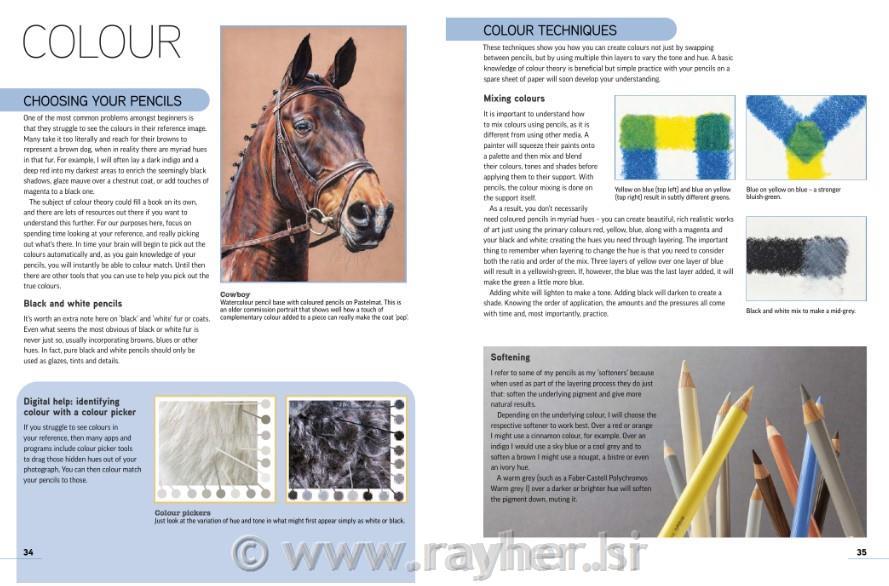 Book Drawing Animal Portraits inColoured Pencils