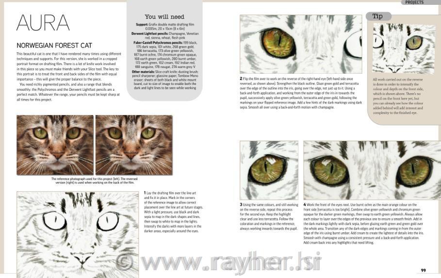 Book Drawing Animal Portraits inColoured Pencils