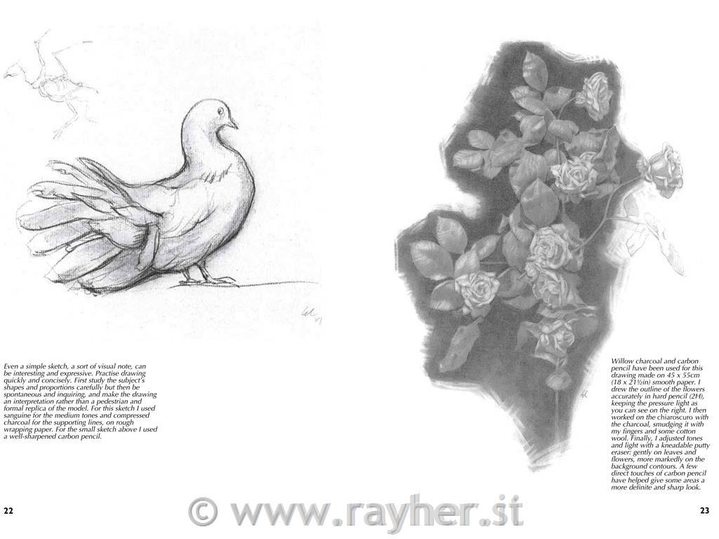 Knjiga Drawing A complete guide Nature