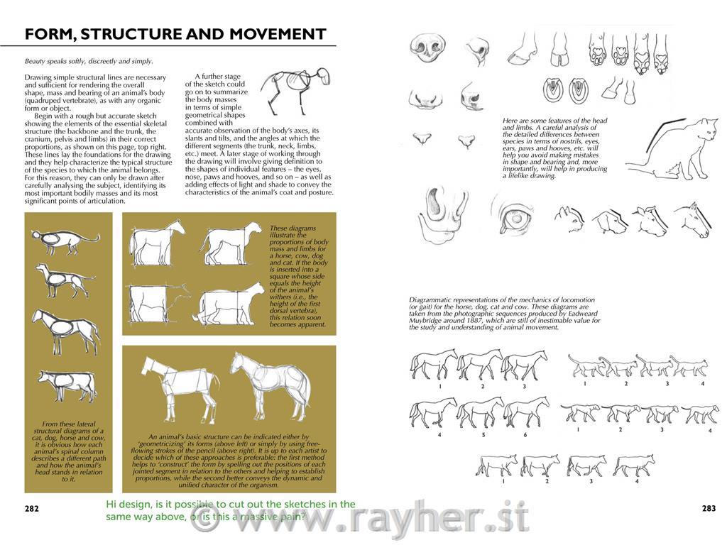 Knjiga Drawing A complete guide Nature