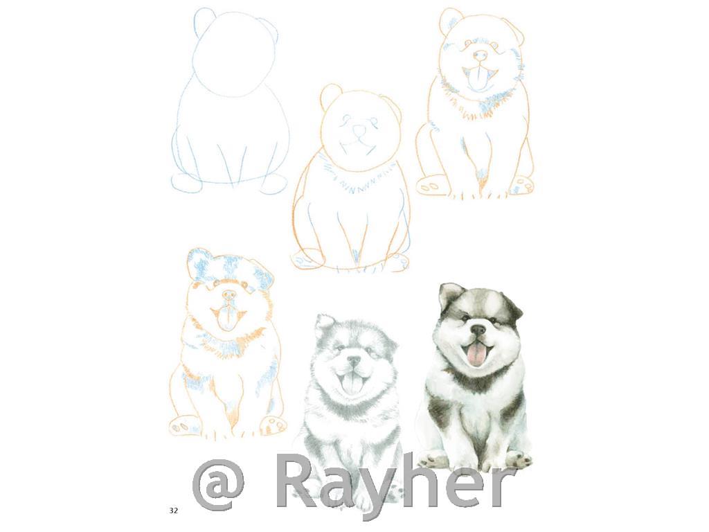 Knjiga How to Draw: Puppies