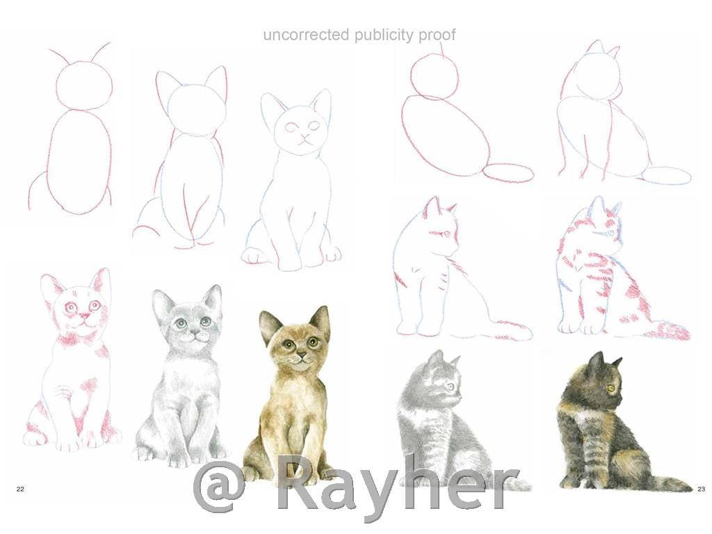 Knjiga How to Draw: Kittens