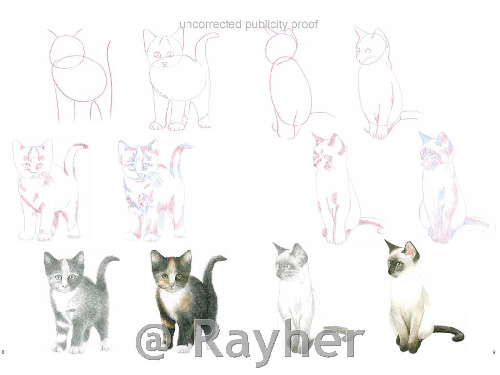 Knjiga How to Draw: Kittens