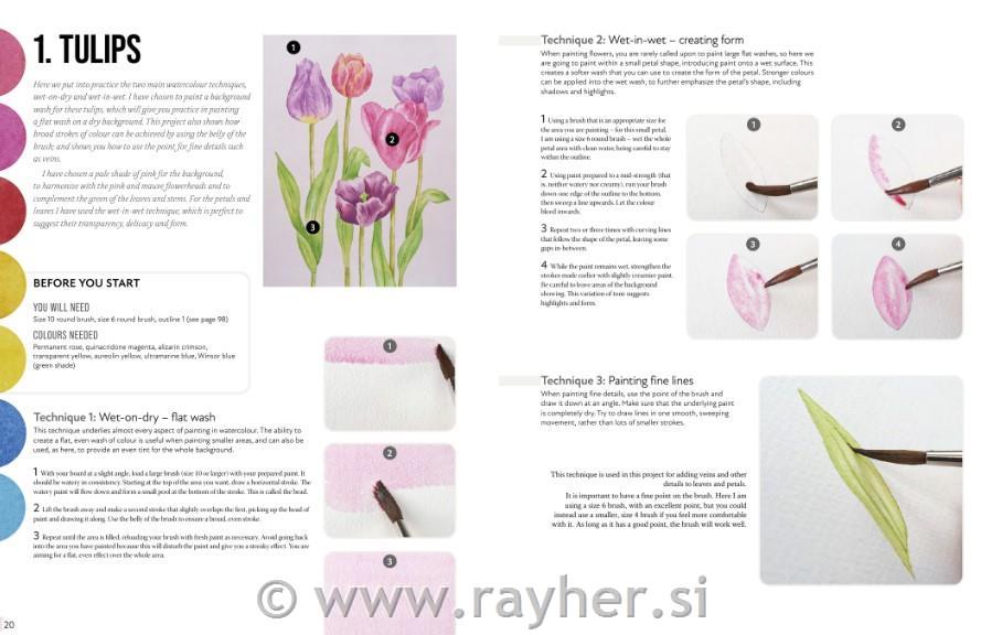 Knjiga Anyone Can Paint Watercolour Flowers