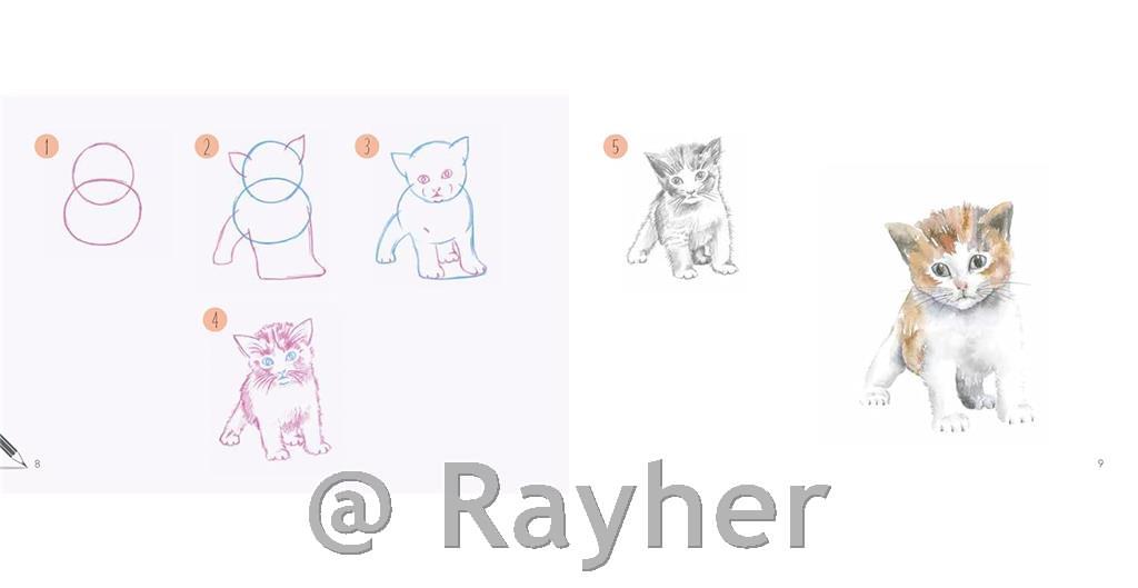 Knjiga Draw 30: Animals