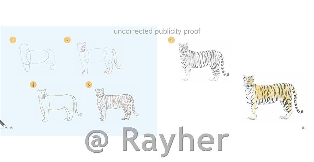 Knjiga Draw 30: Animals